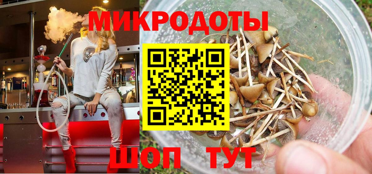 Галлюциногенные грибы прущие грибы  Вход с VPN  Ишим 